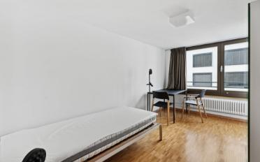 Furnished flat 1 room - image - 4