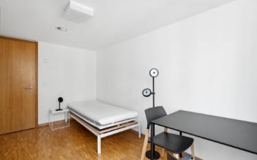 Furnished flat 1 room - image - 5