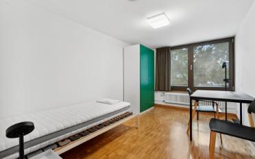 Furnished flat 1 room - image - 6