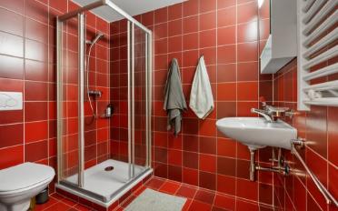 Furnished flat 1 room - image - 10