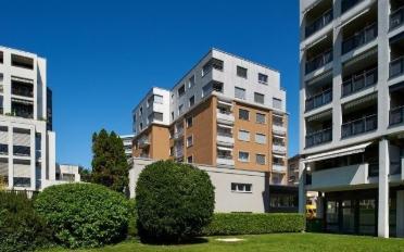 Wohnung 2.5 Zimmer - image - 2