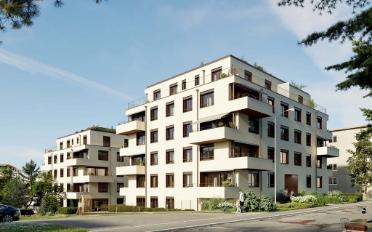Wohnung 2.5 Zimmer - image - 1