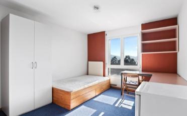 Wohnung ein Zimmer - image - 2