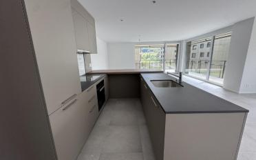 Wohnung 4.5 Zimmer - image - 3