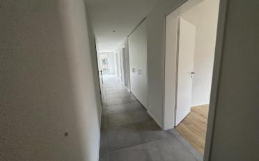 Wohnung 4.5 Zimmer - image - 4