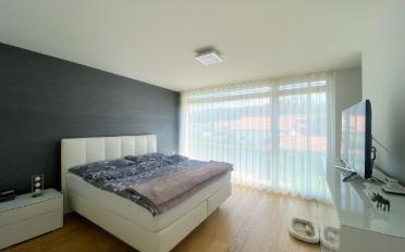 Single house 5.5 rooms - image - 4
