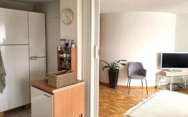 Wohnung 4 Zimmer - image - 7