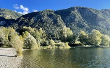 Apartment 3.5 rooms - image - 12