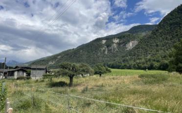 Appartement 3.5 pièces - image - 4