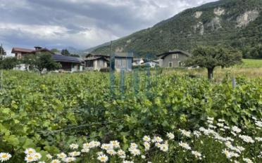 Villa 4.5 pièces - image - 3