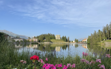 Wohnung 4.5 Zimmer - image - 1
