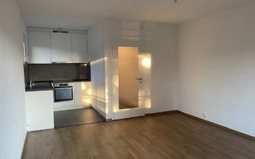 Apartment 1 room - image - 5