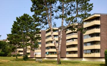 Apartment 1.5 rooms - image - 2