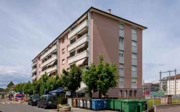 Shop - image - 2