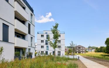 Wohnung 2.5 Zimmer - image - 1