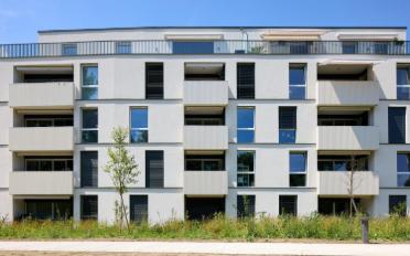 Wohnung 2.5 Zimmer - image - 3