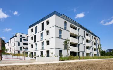 Wohnung 2.5 Zimmer - image - 2