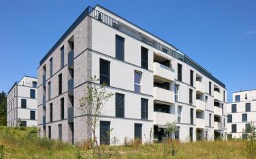 Wohnung 2.5 Zimmer - image - 1