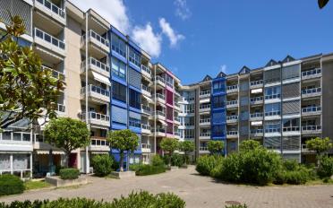 Wohnung 3.5 Zimmer - image - 2