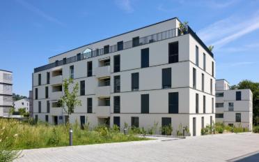 Wohnung 2.5 Zimmer - image - 5