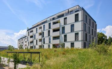 Wohnung 2.5 Zimmer - image - 2