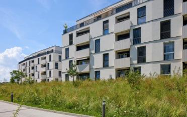 Wohnung 2.5 Zimmer - image - 3