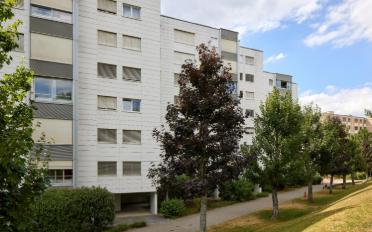 Appartement 3.5 pièces - image - 3