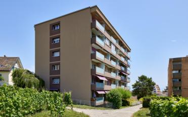 Appartement 1 pièce - image - 1