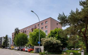 Wohnung ein Zimmer - image - 4