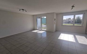 Wohnung 3.5 Zimmer - image - 3