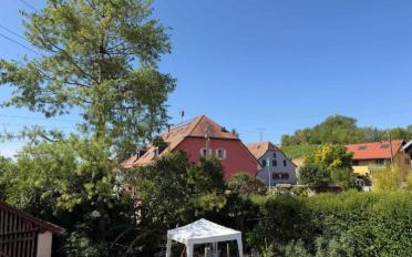 Reihenfamilienhaus 4.5 Zimmer - image - 8