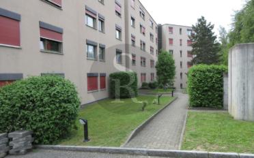 Wohnung 4.5 Zimmer - image - 10