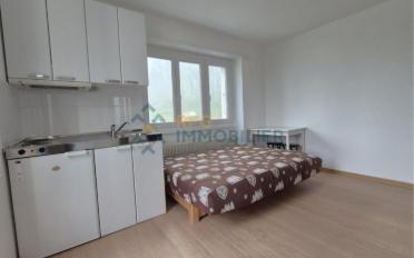 Appartement 1.5 pièces - image - 6