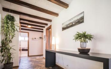 Villa 6.5 Zimmer - image - 2