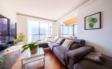 Villa 3 Zimmer - image - 3