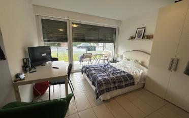 Studio ein Zimmer - image - 1