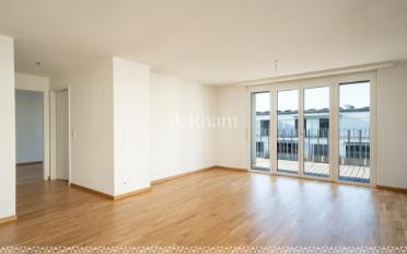 Wohnung 2.5 Zimmer - image - 2