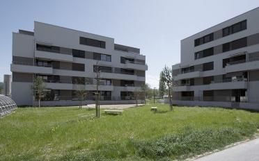 Apartment 2.5 rooms - image - 6