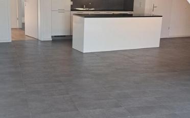 Appartement 4.5 pièces - image - 9