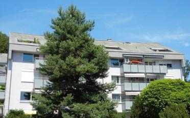 Apartment 2 rooms - image - 1
