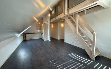 Wohnung 2.5 Zimmer - image - 4