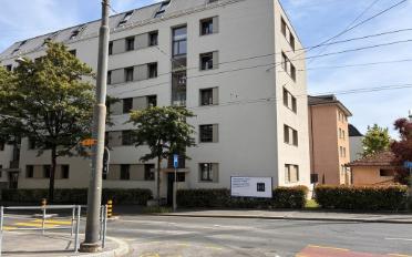 Wohnung 2.5 Zimmer - image - 1