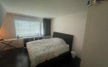 Duplex 2.5 rooms - image - 3
