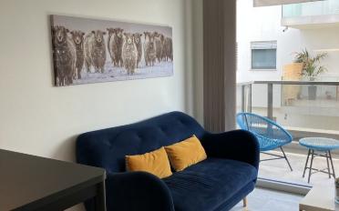 Apartment 2.5 rooms - image - 5