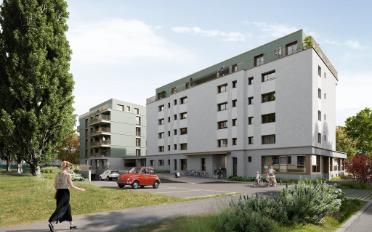 Wohnung 2.5 Zimmer - image - 12