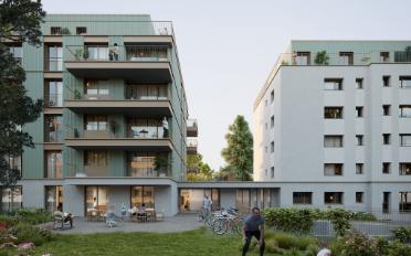 Wohnung 2.5 Zimmer - image - 11