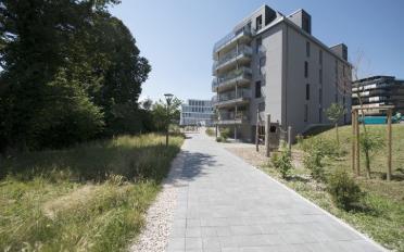 Wohnung 3.5 Zimmer - image - 3
