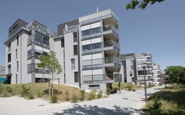Wohnung 3.5 Zimmer - image - 1