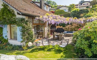Einfamilienhaus 9.5 Zimmer - image - 3