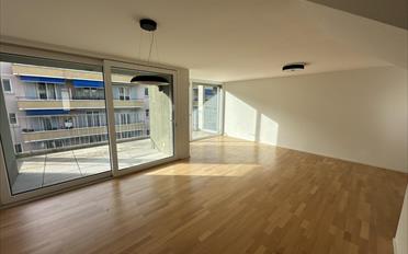 Wohnung 4.5 Zimmer - image - 5